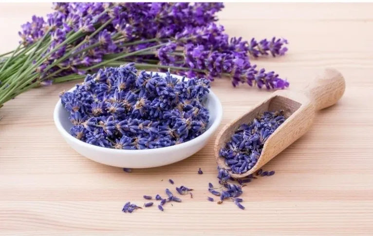 Lavender Bliss Bath Bomb